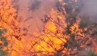 Kuşadası Adagöl çevresindeki yangın büyümeden kontrol altına alındı