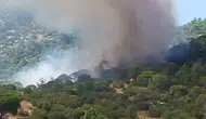 Muğla Kavaklıdere ormanlarında yangın paniği