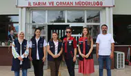 Bolu tarlalarında kadınların nohut bereketi