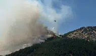 Adıyaman Sincik’te orman yangını paniği