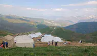 Hakkari’de göç vakti Binmizit Yaylası şenlendi