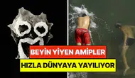 İklim kriziyle yayılan yeni tehdit: Vakalarda rekor artış