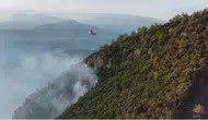 Göcek'teki orman yangını 24 saati geride bıraktı