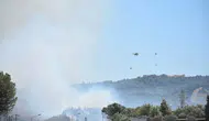 İzmir'de ot yangını ormana sıçradı