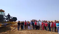 Tekirdağ’da yağ üretiminde gizli tehlikeye karşı denetim