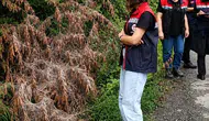 Rize bahçelerini saran beyaz kelebek istilasına karşı savaş açıldı