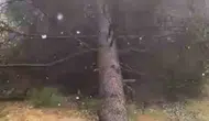 Erbaa'da fırtına hayatı felç etti
