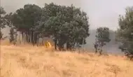 Lice kırsalında alevler evlere doğru ilerliyor