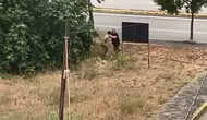 Gölcük’te dehşet anları Yeğen dayısını palayla katletti