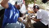 Kumluca yangınında yaralanan hayvanlar için seferberlik başladı