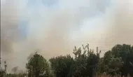 Sındırgı ormanlarında yangın paniği