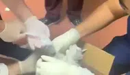 Acil serviste beklenmedik hasta Kırık bacaklı kedi