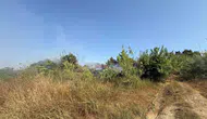 Manavgat'ta kamışlık alanda korkutan yangın kontrol altına alındı