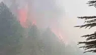 Adıyaman Sincik’teki orman yangını söndürüldü