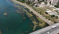 Seyhan Nehri'ni temizlemek bir gencin sandalına mı kaldı?