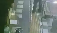 Kızıltepe'de gündüz gözüyle papağan hırsızlığı