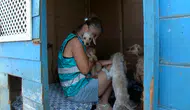 Bursa'da hevesi kaçanlar köpeklerini sokağa terk ediyor