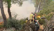 Çine ormanlarında alevlerle mücadele ikinci gününde sürüyor