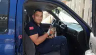 Amasya'da otomobilin motoruna sıkışan kediye itfaiye müdahalesi
