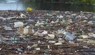 Menderes Nehri'ni korumak için çiftçiye sıvı gübre desteği