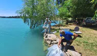 Manavgat sularına 400 bin yeni sazan bırakıldı