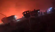Ege'de orman yangınlarına karşı verilen zorlu mücadele kamerada