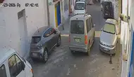 Muğla'da vicdansız sürücü iki kediyi ezip yoluna devam etti