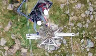 Elektrik direkleri göçmen kuşlara güvenli yuva oluyor