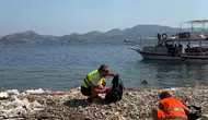 Marmaris sahillerinde plastik istilası alarmı