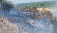 Gönen’de arazi yangını 50 ağacı küle çevirdi