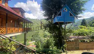 Rize’de iki kardeşin ağaç evine ulaşımı asma köprüyle sağladılar
