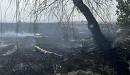 Konya Karatay’da karganın sebep olduğu anız yangını korkuttu
