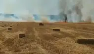 Nallıhan’da tarım arazisinde yangın paniği