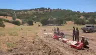 Elazığ’da kene istilasına karşı 300 keklik göreve başladı