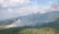 Muğla Yenice'de tarım alanında başlayan yangın ormana sıçradı