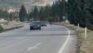 Karabük yolunda başıboş eşek sürücüleri terletti