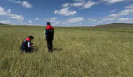 Karslı çiftçinin tarlasında hasar tespit mesaisi başladı