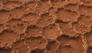 Mars'ta ne bulundu: Kızıl Gezegen'in sırrı çözülüyor