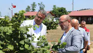 Samsun tarımında yeni dönem için sahaya inildi