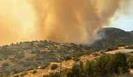 Aydın Bozdoğan'da yangın evlere ulaştı