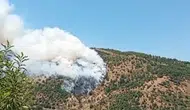 Aydın Sultanhisar’da orman yangını paniği