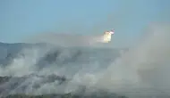 Çanakkale Bayramiç’te ormanlık alanda yangın paniği