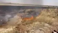 Nusaybin Beylik köyünde anız yangını alarmı verildi