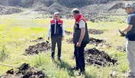 Palandöken’in çorak topraklarına 10 bin fidan dikildi