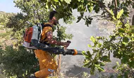Hazro’da orman yangını 15 dönümlük alanı kül etti
