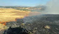 Bingöl Gümüşlü köyünde korkutan tarım arazisi yangını