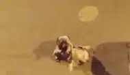 Iğdır sokaklarında gece yarısı kavga kamerada