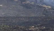 Siirt Akyamaç köyünde çıkan yangın 50 dönümü yaktı