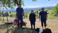 Dipsizgöl Yaylası’nda küçükbaş hayvanlar için sağlık taraması yapıldı