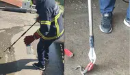 Hakkari’de sürücülerin yeni korkulu rüyası motorlara giren yılanlar